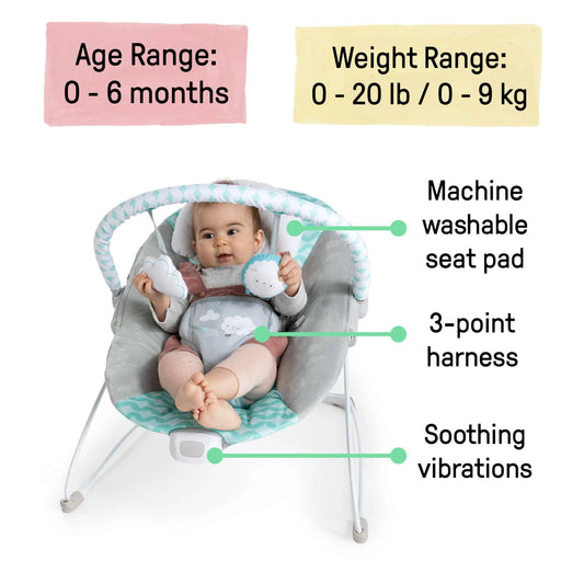 Kids2 - Ingenuity Deluxe Vibrating Bouncer - Goji