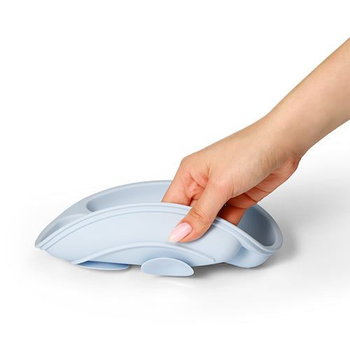 BabyOno - Silicone Suction Plate - 1482/01