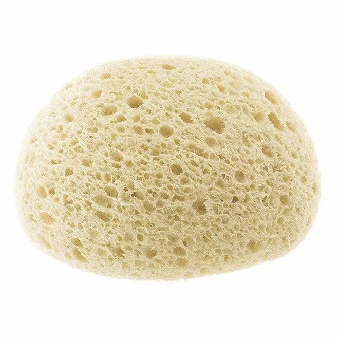 Chicco EXTRA ABSORBANT SPONGE