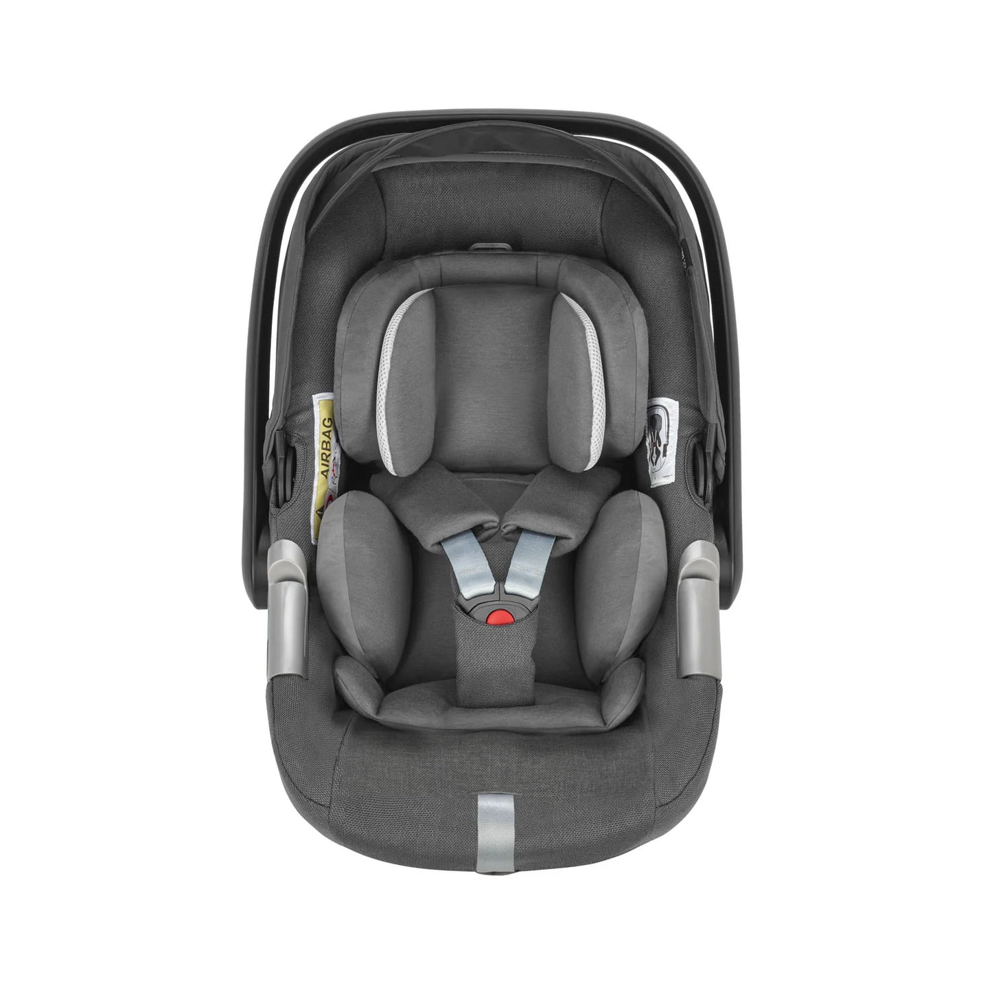 Inglesina - Electa Darwin - Car Seat