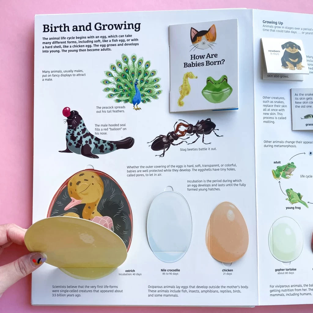 Tumama Kids - The Ultimate Book Of Animals