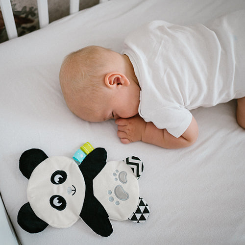 BabyOno - Flat Cuddly Toy - Panda Polly - New