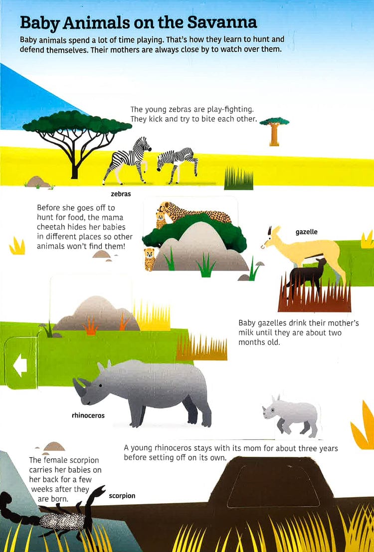 Tumama Kids - Ultimate Spotlight : Savanna Animals Book