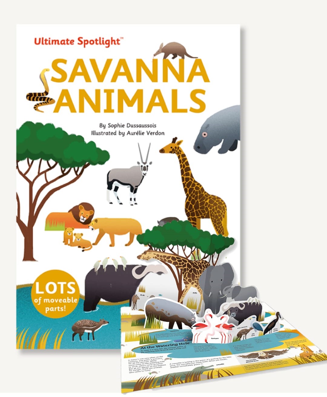 Tumama Kids - Ultimate Spotlight : Savanna Animals Book