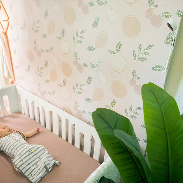 BBLUV Viyü- WIFI HD Video Baby Monitor