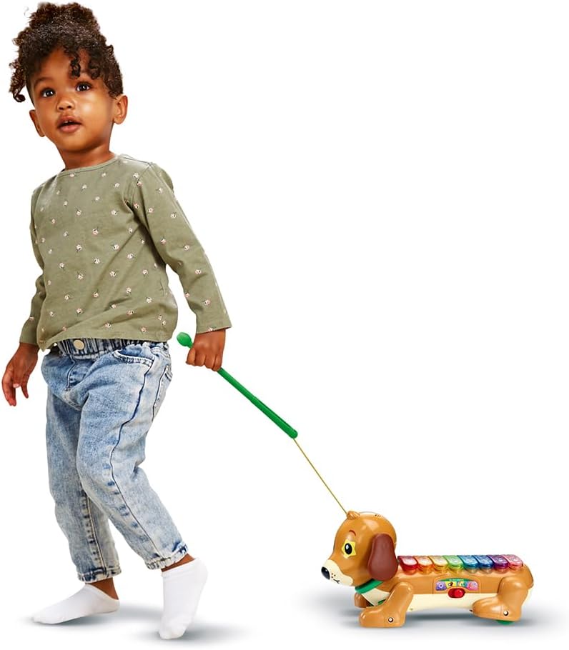 Vtech - Elton Mon Rouli Xylophone - French