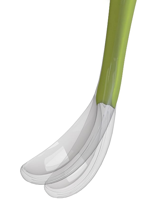 Chicco - Soft Silicone Spoon - (6m+) - Green