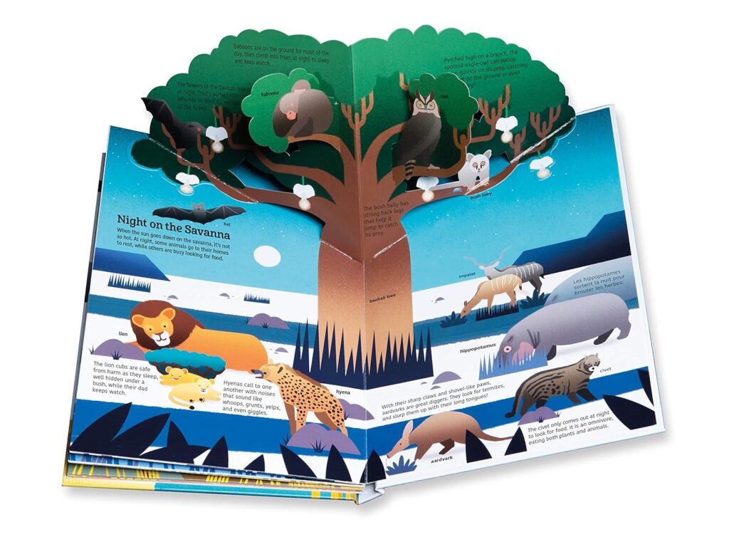 Tumama Kids - Ultimate Spotlight : Savanna Animals Book