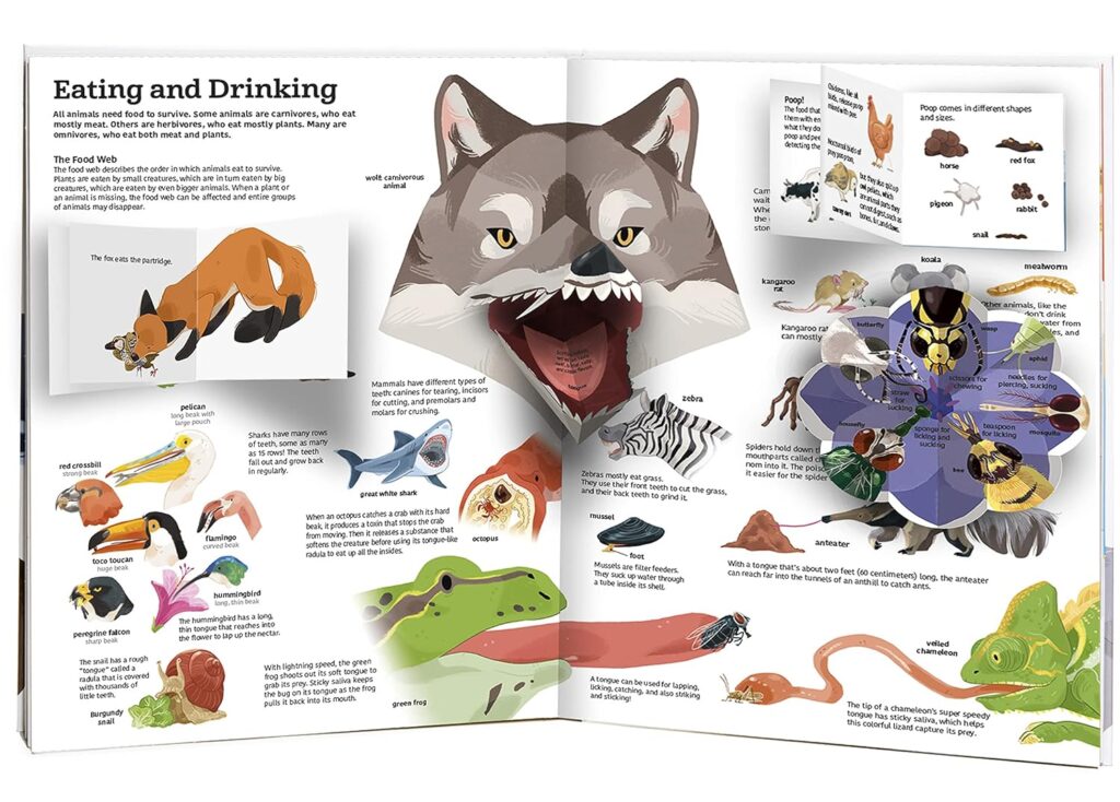 Tumama Kids - The Ultimate Book Of Animals