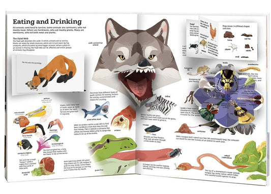 Tumama Kids - The Ultimate Book Of Animals