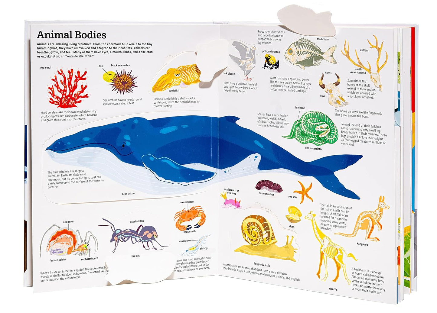 Tumama Kids - The Ultimate Book Of Animals