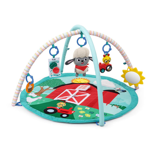 Kids2 - Be Happy Harvest Touch & Feel Gym