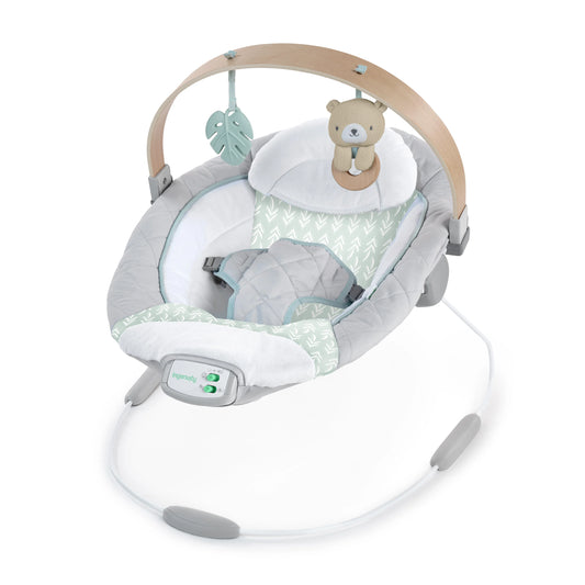 Kids2 - Ingeunity Soothing Bouncer - Cozy Spot