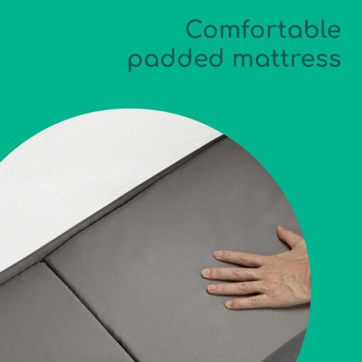Bebe Confort Amara - Tinted Grey