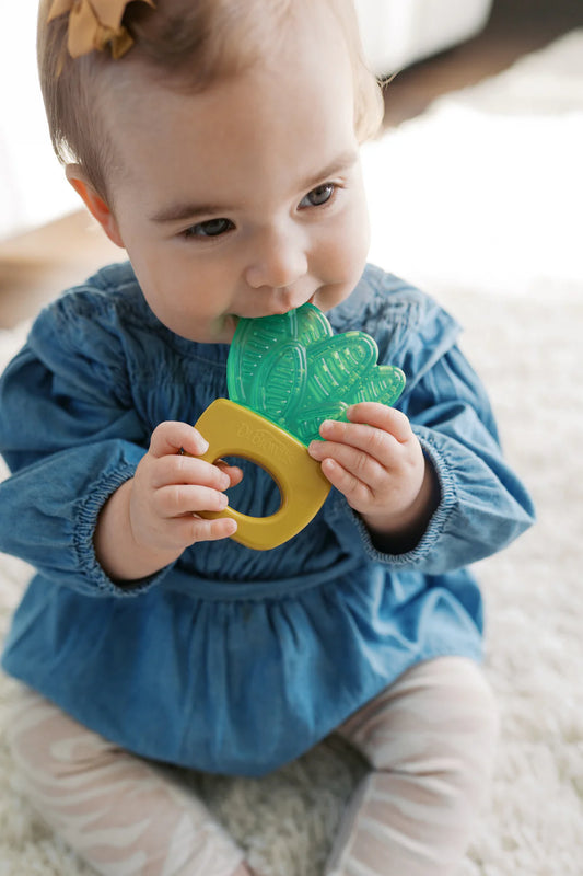 DrBrown's - Aquacool Water-Filled Teethers - Houseplants 2packs - 3m+