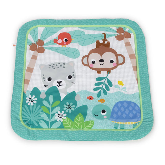 Kids2 - BS Activity Gym - Palm Party