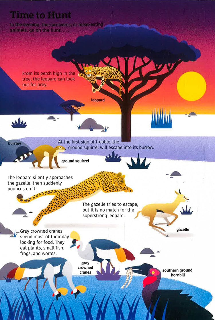 Tumama Kids - Ultimate Spotlight : Savanna Animals Book