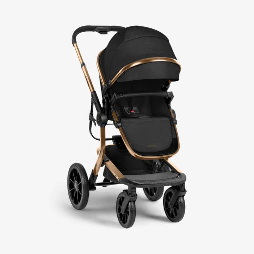 Stroller 3in1 with plastic carrycot Irene Black 2024