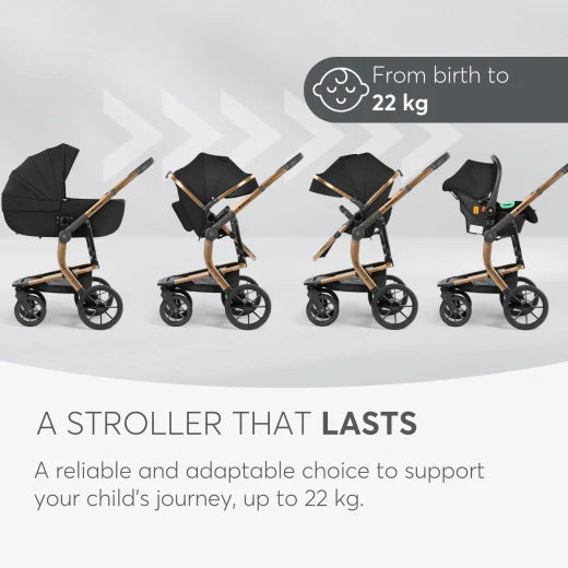 Stroller 3in1 with plastic carrycot Irene Black 2024