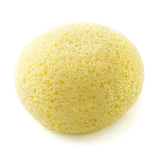 Synthetic Hydrophilic Sponge