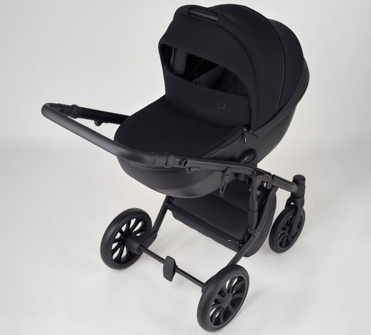 Anex - M/Ttype (2in1) Stroller - Q05 Ink