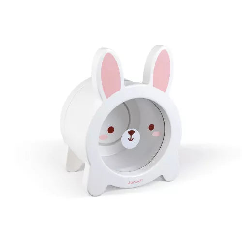 Rabbit Money Box