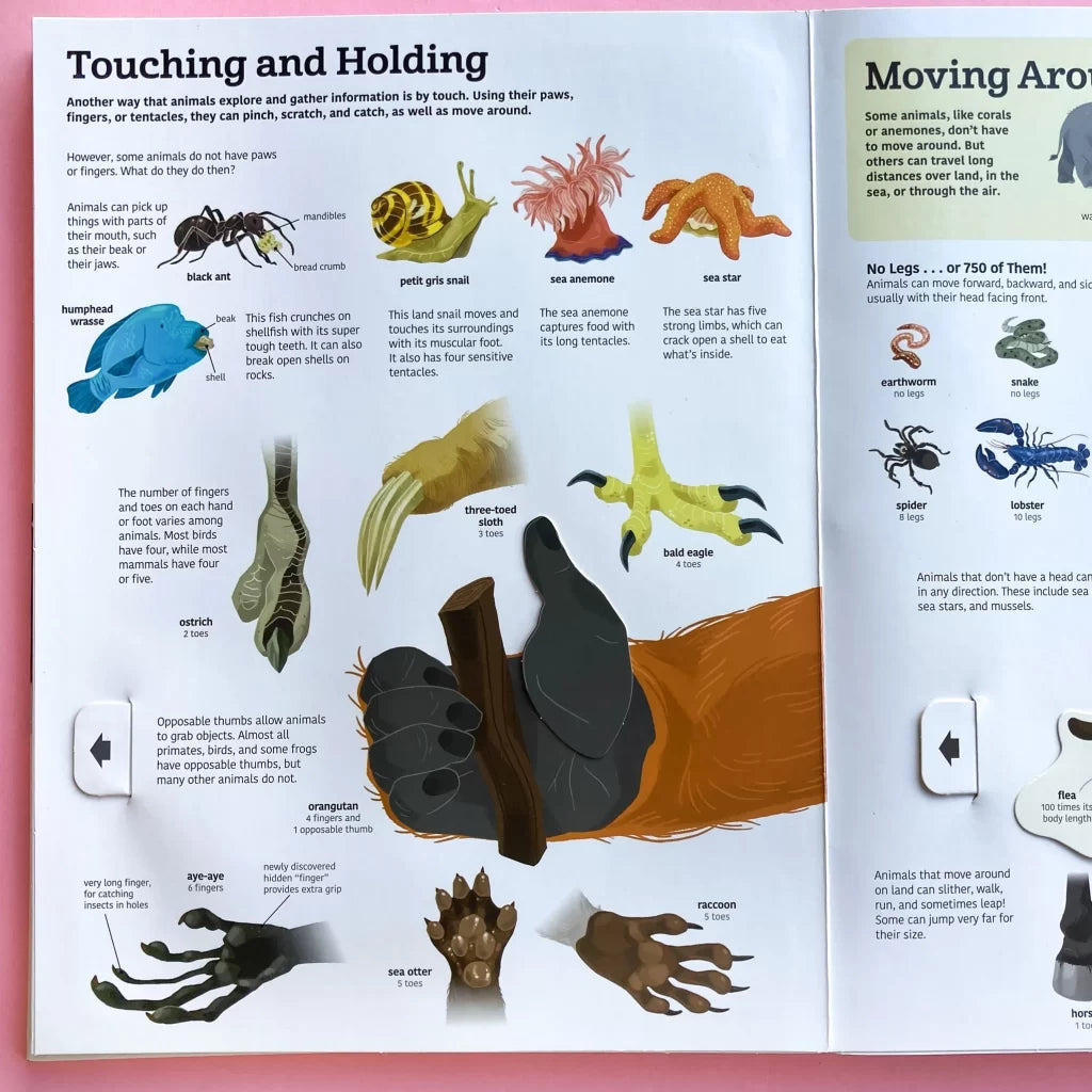 Tumama Kids - The Ultimate Book Of Animals