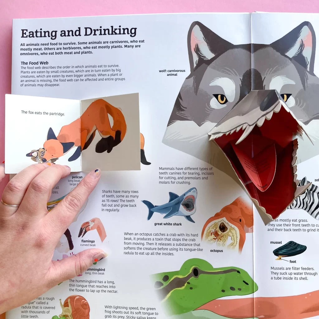 Tumama Kids - The Ultimate Book Of Animals