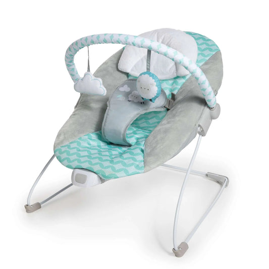Kids2 - Ingenuity Deluxe Vibrating Bouncer - Goji