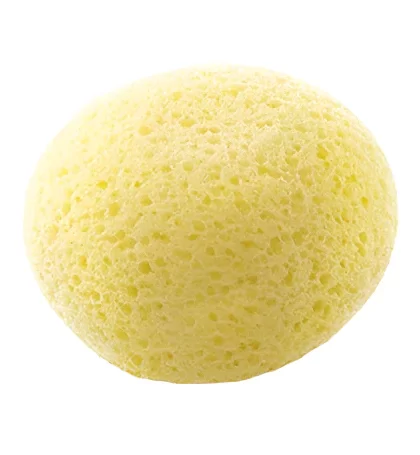 SYNTHETIC HYDROPHILIC SPONGE